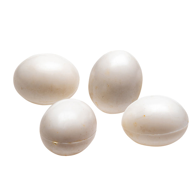 FPI 4309 OEUFS FACTICES POUR CALOPSITTES