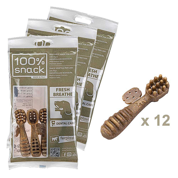 100% SNACK A REMPLIR - TOOTHBRUSH ASCOPHILLUM