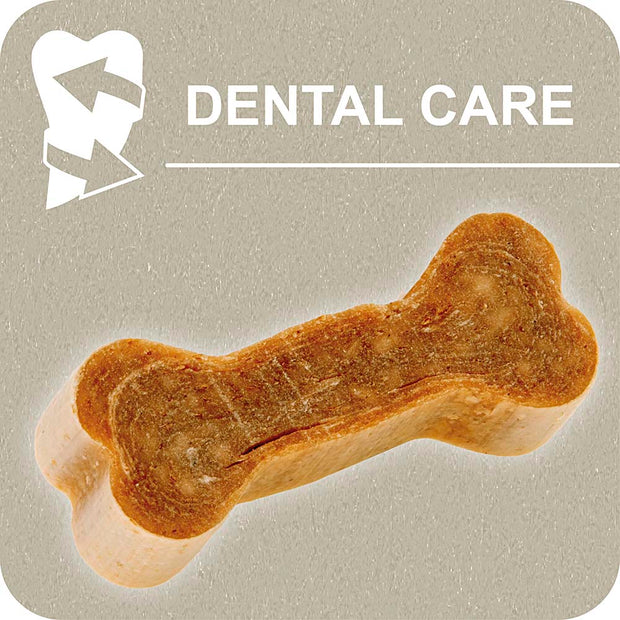 100% SNACK COOKIE - BONE OVOPET