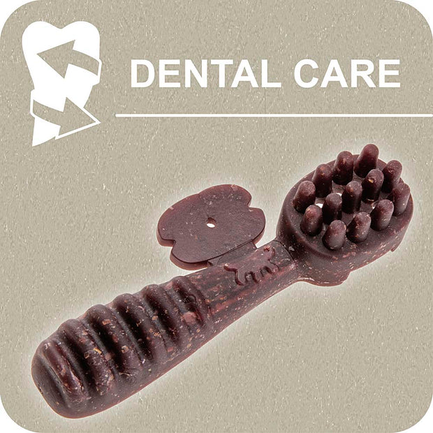100% SNACK A REMPLIR - TOOTHBRUSH MELISSA