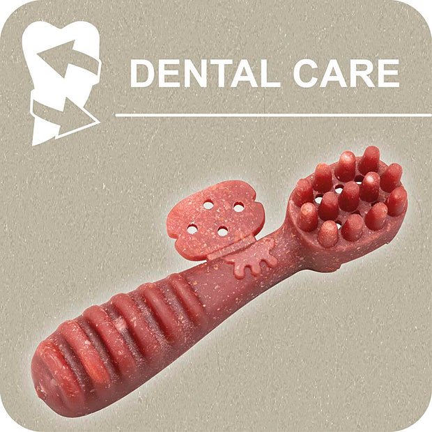 100% SNACK A REMPLIR - TOOTHBRUSH YUCCA