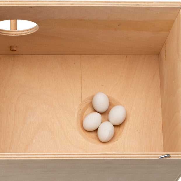 FPI 4308 OEUFS FACTICES POUR CANARIS