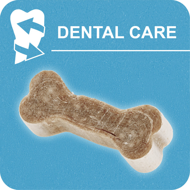 100% SNACK COOKIE - BONE LITHOTHAMNIUM
