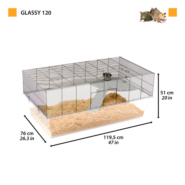 GLASSY 120