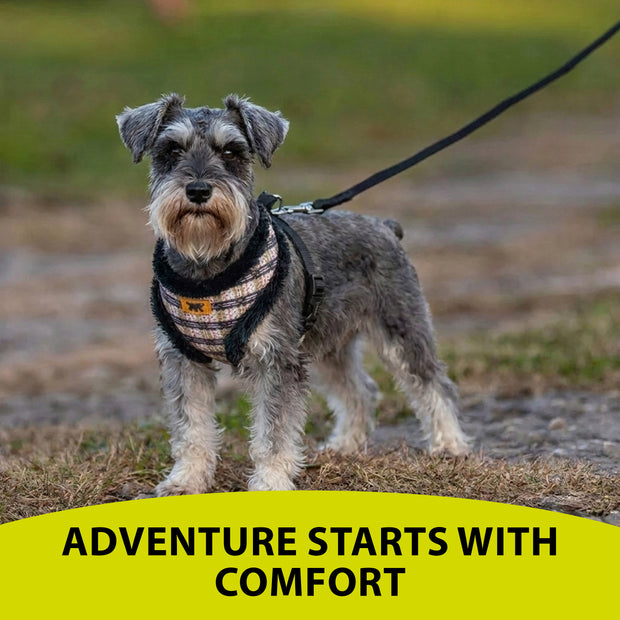 NIKITA P FUR