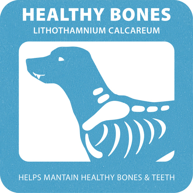 100% SNACK BÂTONNETS - FUSILLI LITHOTHAMNIUM