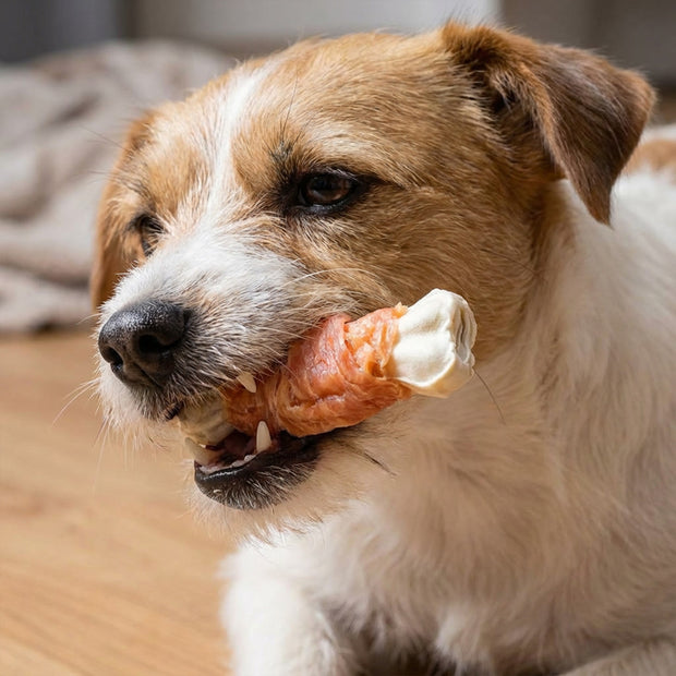 CHICKEN BONE