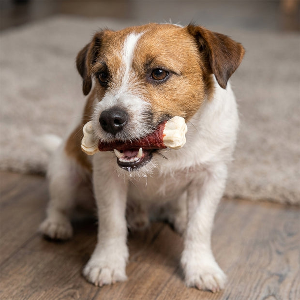 BEEF BONE