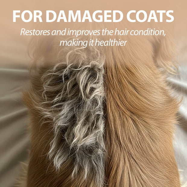 SHAMPOING POUR CHIENS NATURÉ À L’ARGILE VERTE