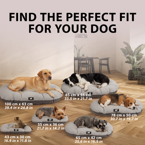 STUART