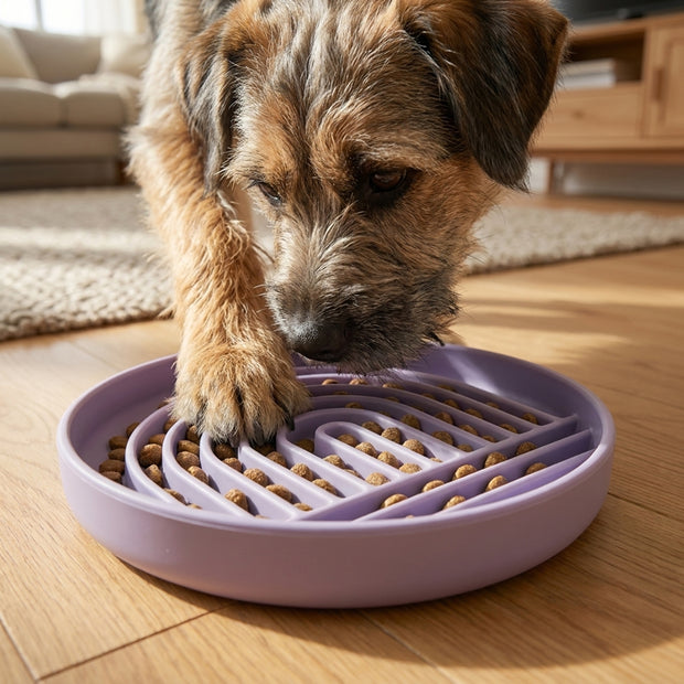 SLOW FEEDING BOWL