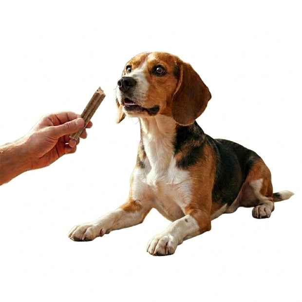 DENTAL STICKS