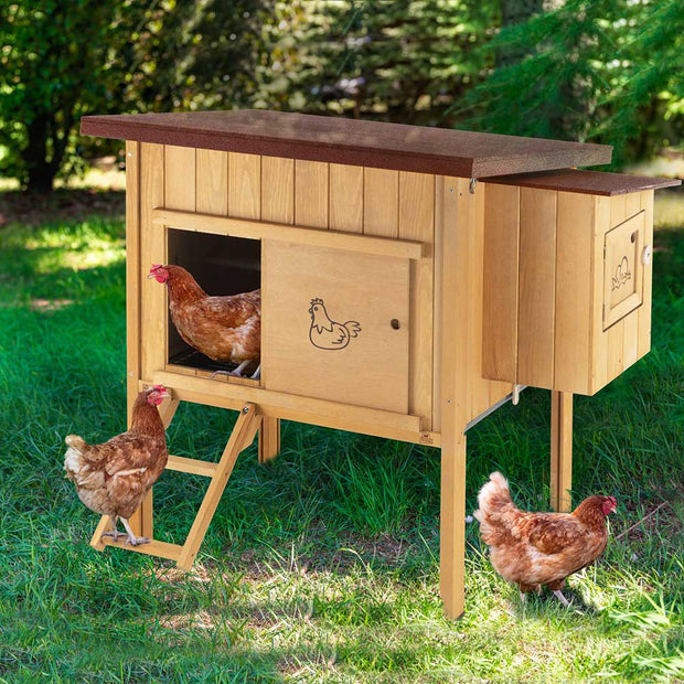 HEN HOUSE 10