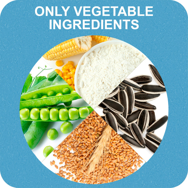 100% SNACK BÂTONNETS - SNOWFLAKE LITHOTHAMNIUM