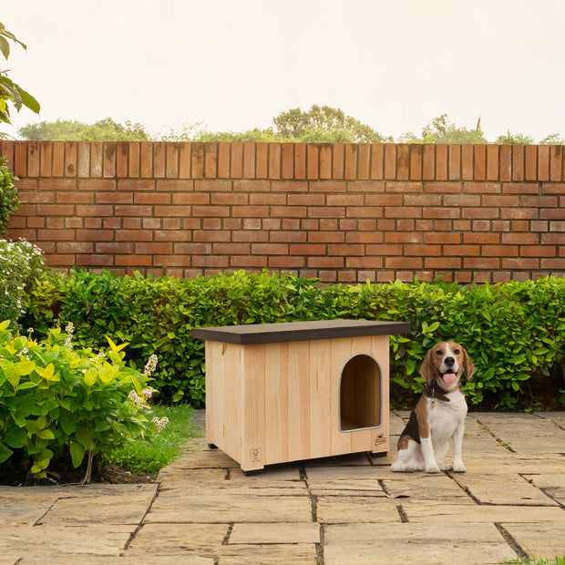 CLICKO Niche pour chien en bois