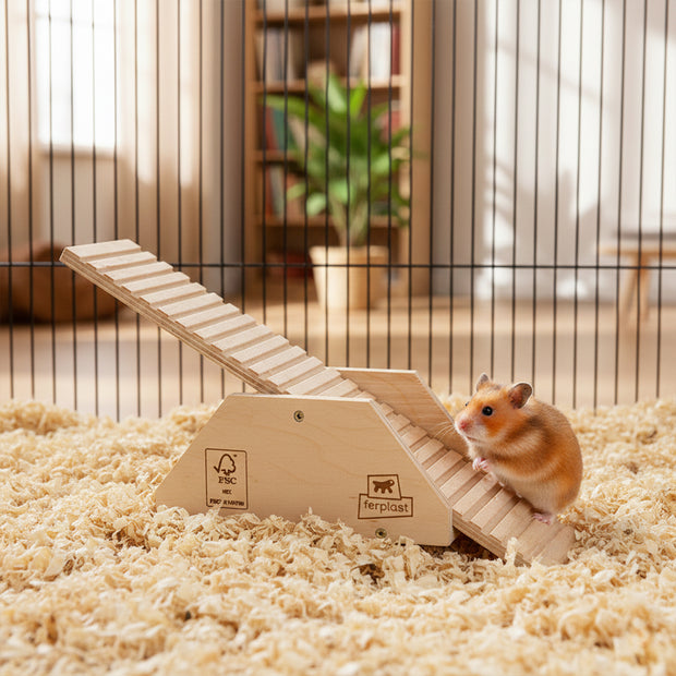 ARCADE SWING