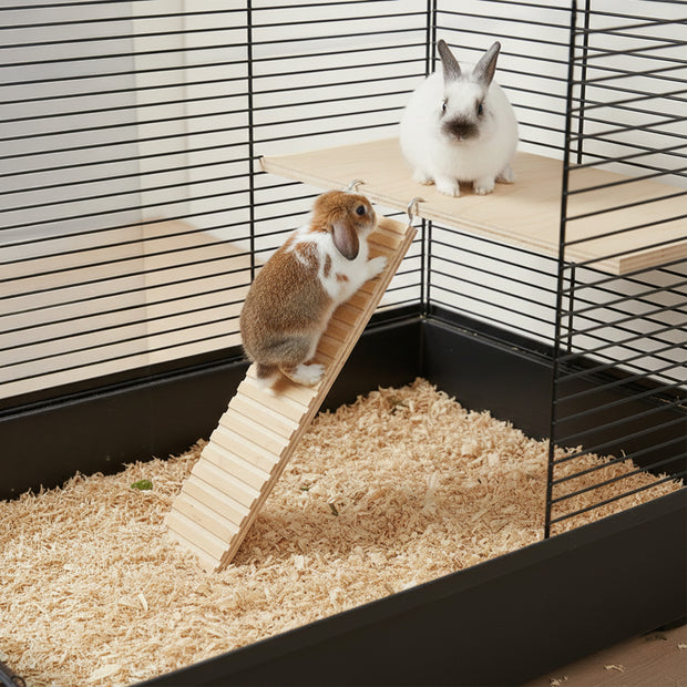 ARCADE LADDER  Jouet en bois pour hamsters et petits animaux