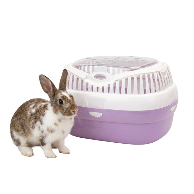 ALADINO LARGE