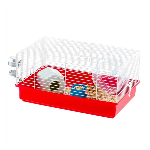 CRICETI 9