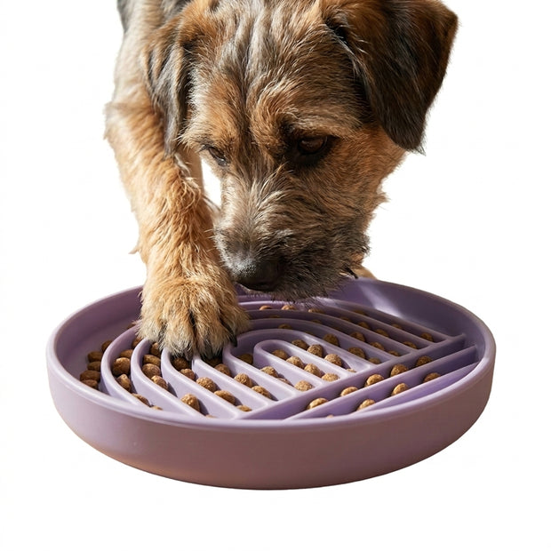 SLOW FEEDING BOWL