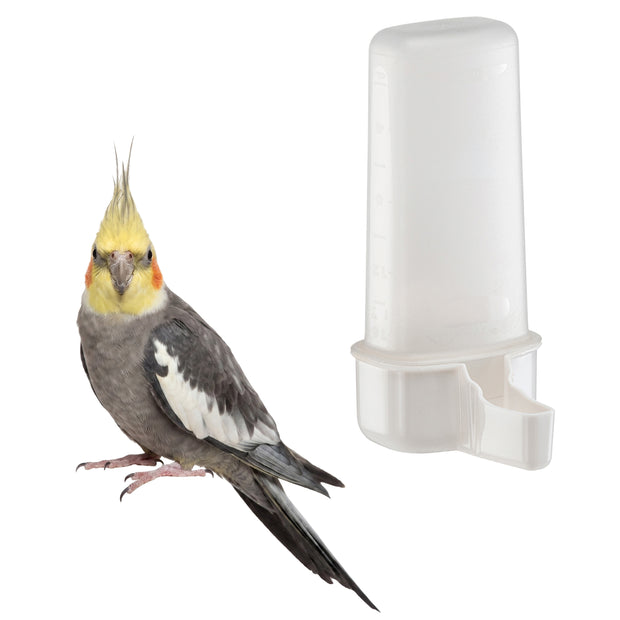 Distributeur d’eau ou de nourriture pour oiseaux