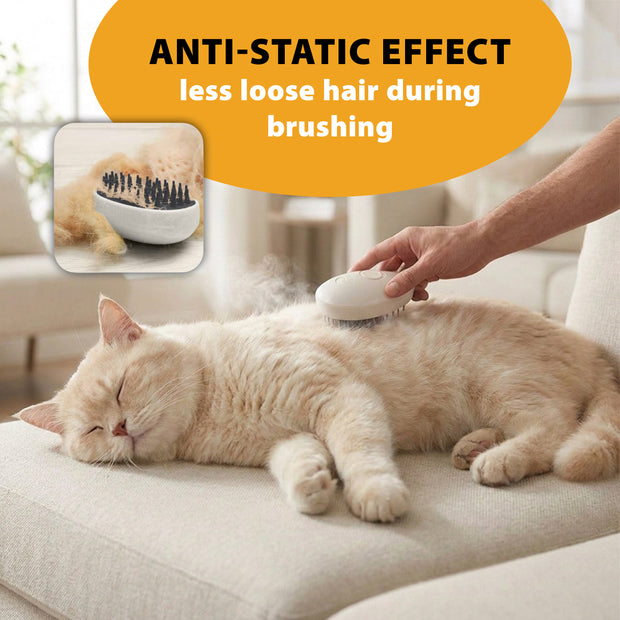 SPRAY MASSAGE BRUSH
