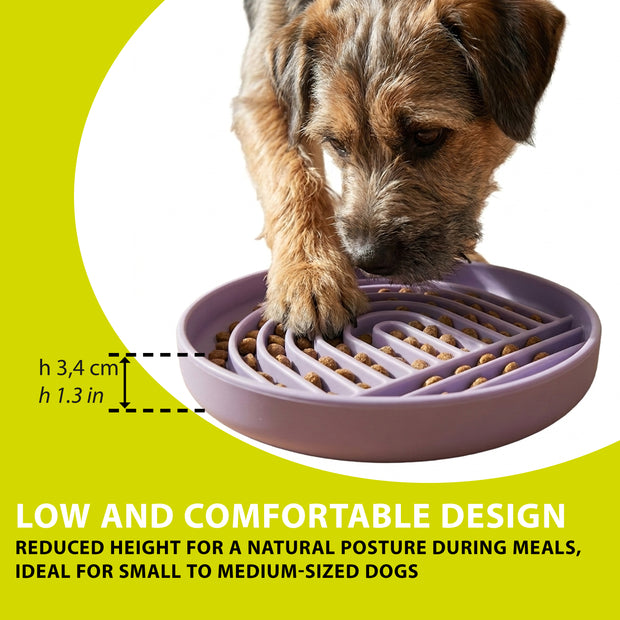 SLOW FEEDING BOWL