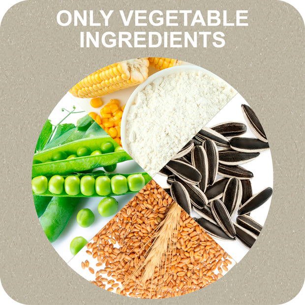 100% SNACK A REMPLIR - TOOTHBRUSH EUGLENA