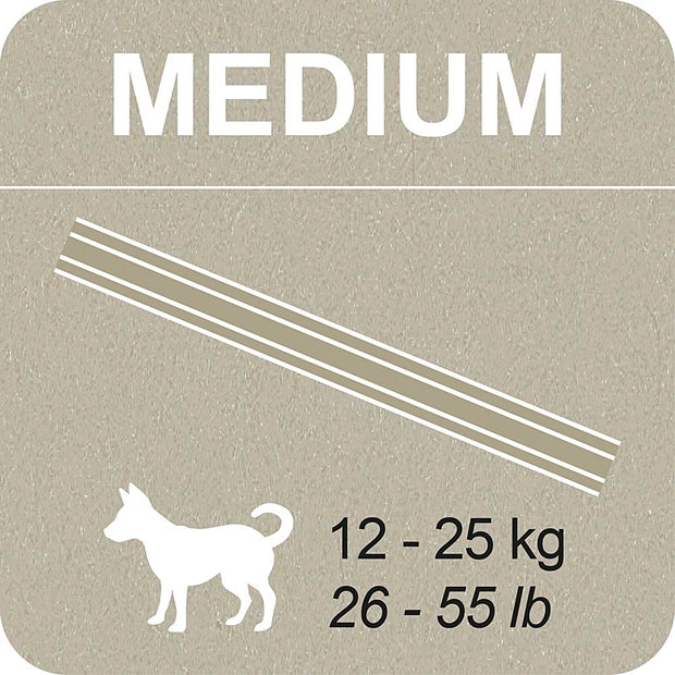 100% SNACK BÂTONNETS - SNOWFLAKE ASCOPHILLUM