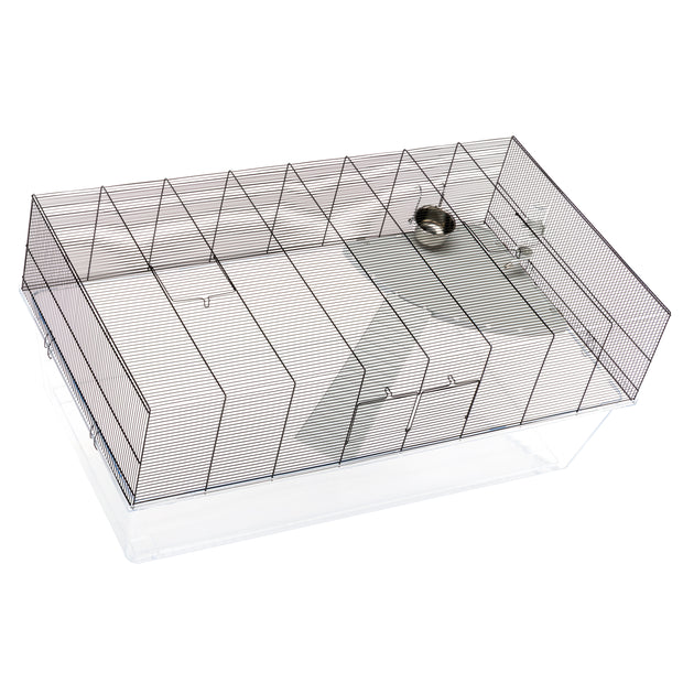 GLASSY 120