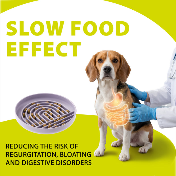 SLOW FEEDING BOWL