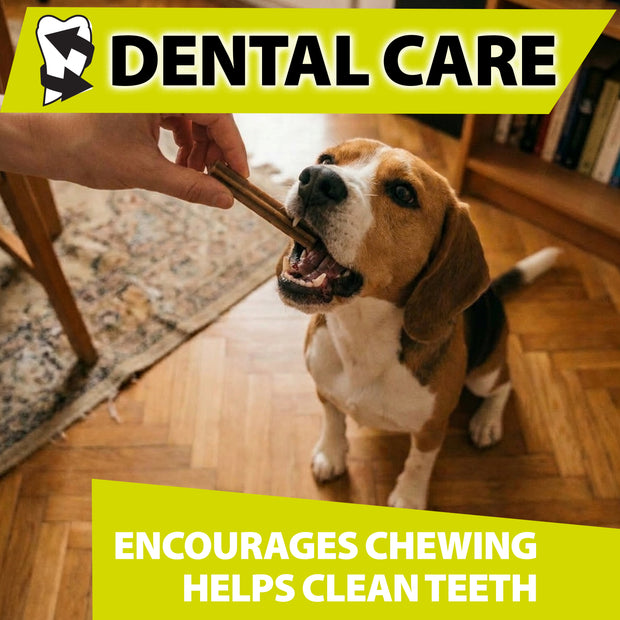 DENTAL STICKS