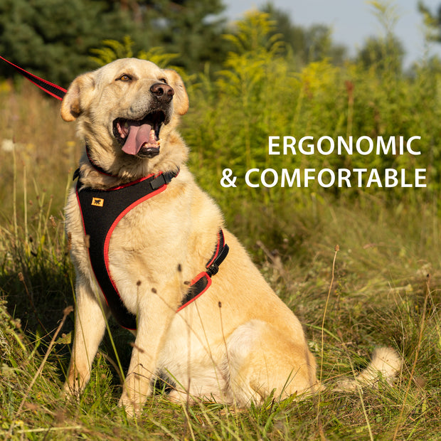ERGOCOMFORT P