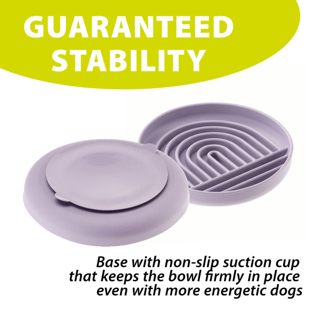 SLOW FEEDING BOWL