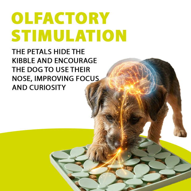 PET SNUFFLE MAT