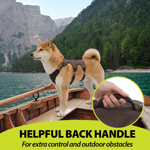 ERGOTREKKING