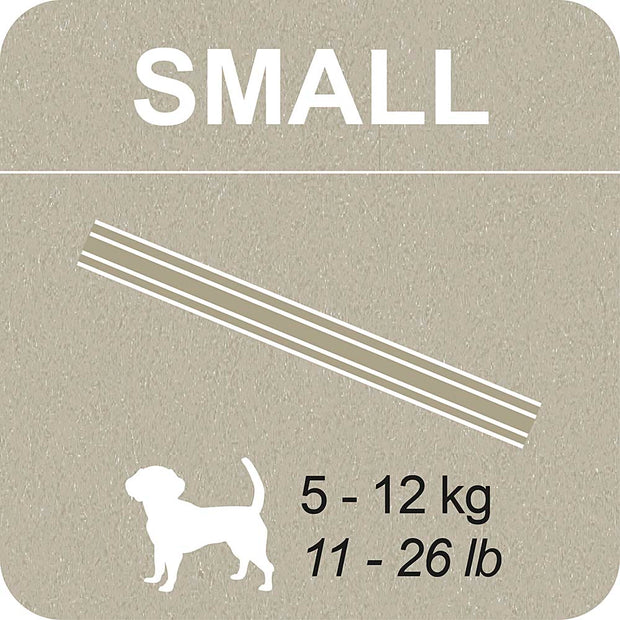 100% SNACK BÂTONNETS - SNOWFLAKE ASCOPHILLUM