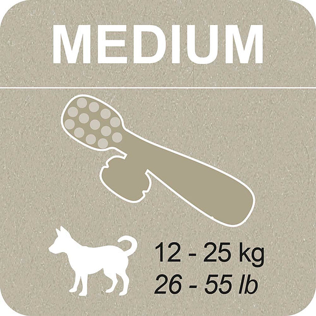 100% SNACK A REMPLIR -  TOOTHBRUSH LITHOTHAMNIUM
