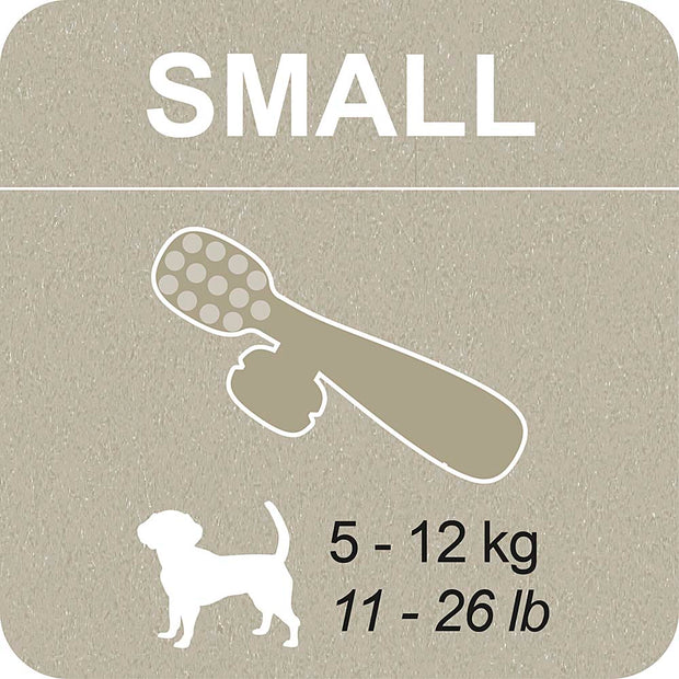 100% SNACK A REMPLIR - TOOTHBRUSH EUGLENA