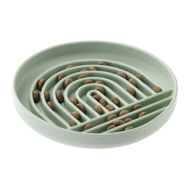 SLOW FEEDING BOWL